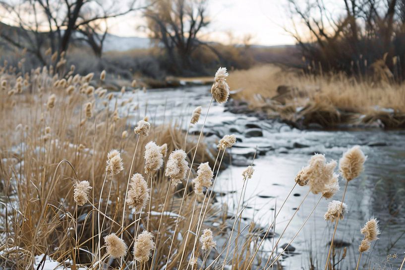 Ruisseau tranquille avec des plantes aux couleurs de l'automne par Imperial Art House