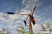 Windmühle Weerribben Ossenzijl