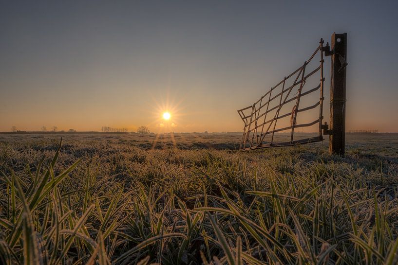 Hekwerk weiland met zon by Moetwil en van Dijk - Fotografie