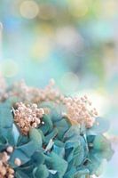 Pastell in seiner schönsten Form