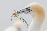 Liebevolle Geschenke