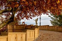 Vue flottante sur le Viktoria