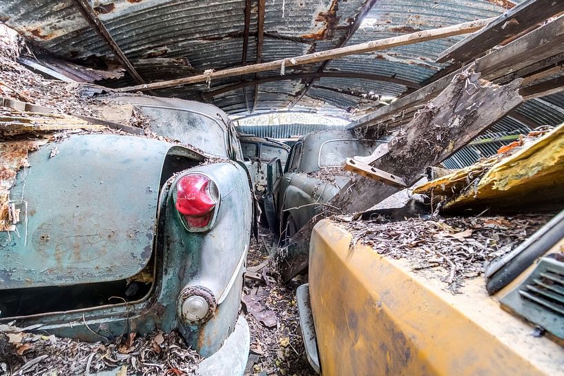 Abandoned Cars by Natasha  van Wijngaarden