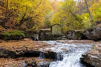 Autumn in the mountains