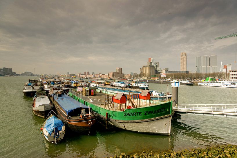 Zwarte Zwaantje in de Leuvehaven par Alice Berkien-van Mil