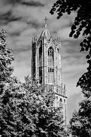 The Dom Tower of Utrecht in black and white (1)