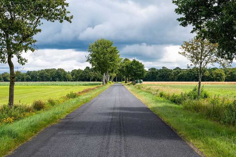 country road through the fields by Werner Lerooy