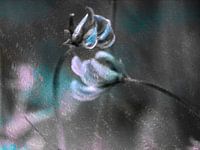 Zwei Sommerblumen vor einem geometrischen silbernen Hintergrund