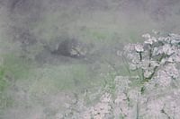 Une parmi tant d'autres... 4