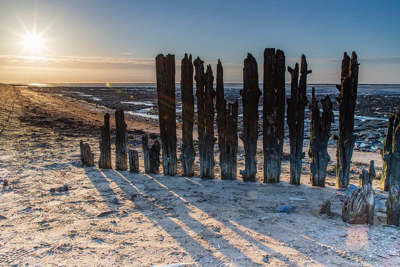 Le soleil, la plage et les vasières par Willemke de Bruin