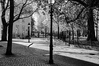 Breda Cingelstraat Noir-Blanc