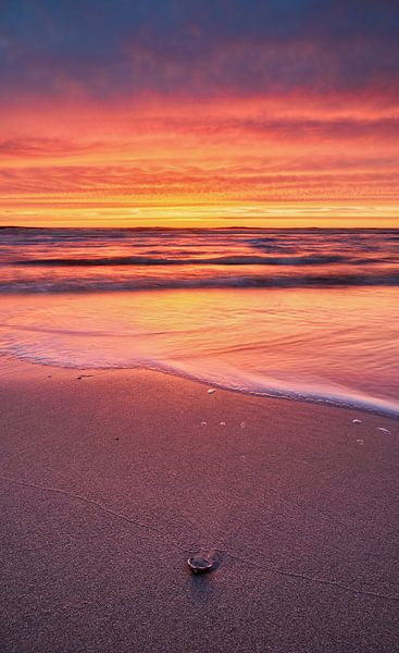 Sonnenuntergang am Meer von Harro Jansz