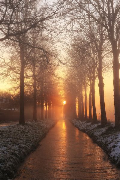 Un tout nouveau jour... par LHJB Photography