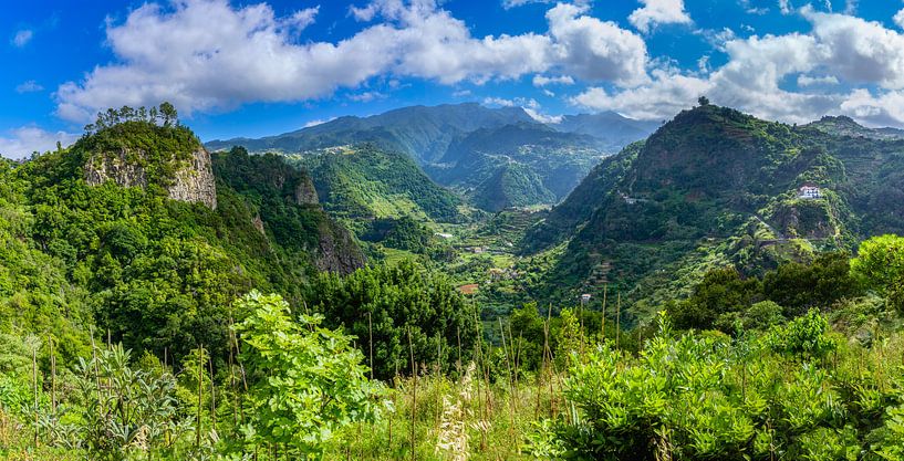 Madère verte par Alexander Dorn