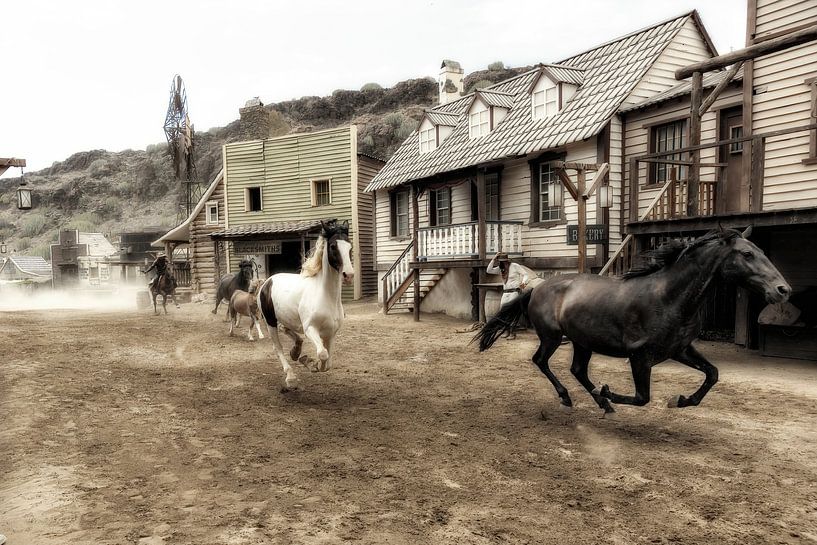 Horses at full gallop by Humphry Jacobs