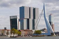 huizen Noordereiland met De Rotterdam en Erasmusbrug