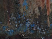 Autowrack mit Rost 15