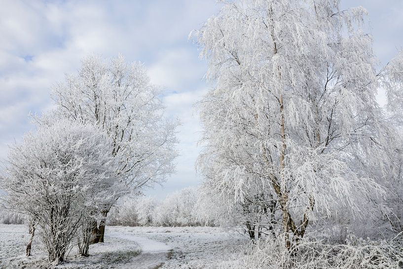 Een  witte wereld  par AnyTiff (Tiffany Peters)