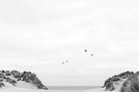 Vue sur la mer à Ameland