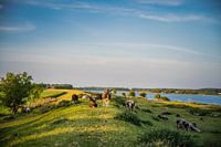 Landscape with sunset