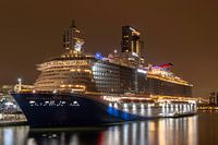 Mardi Gras à Rotterdam