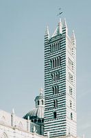 Siena Italien Kathedrale Santa Maria