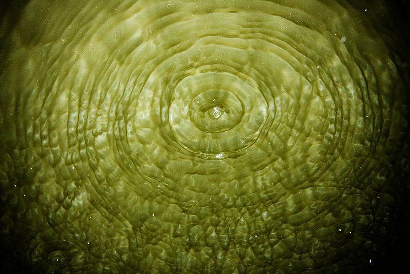 Vijver van Gwen Mustamu