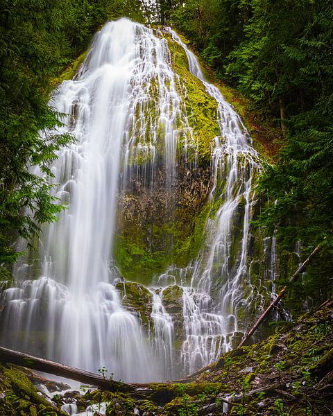 Chute d'eau Proxy Falls, Oregon par Henk Meijer Photography