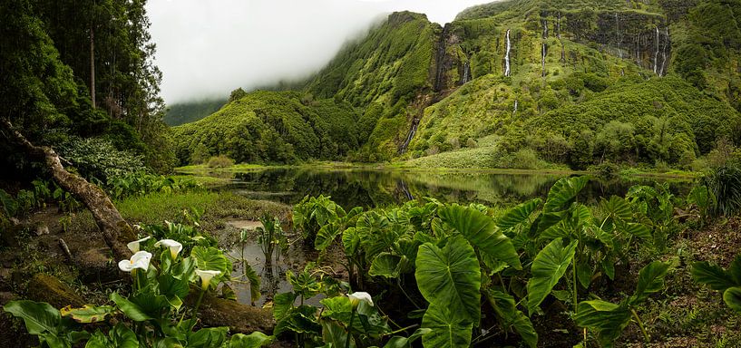 LP 71311844 Beautiful landscape in Portugal par BeeldigBeeld Food & Lifestyle