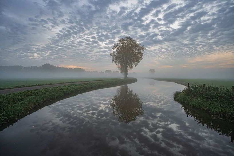 Mirror image by Chris Biesheuvel I  Dream Scapes