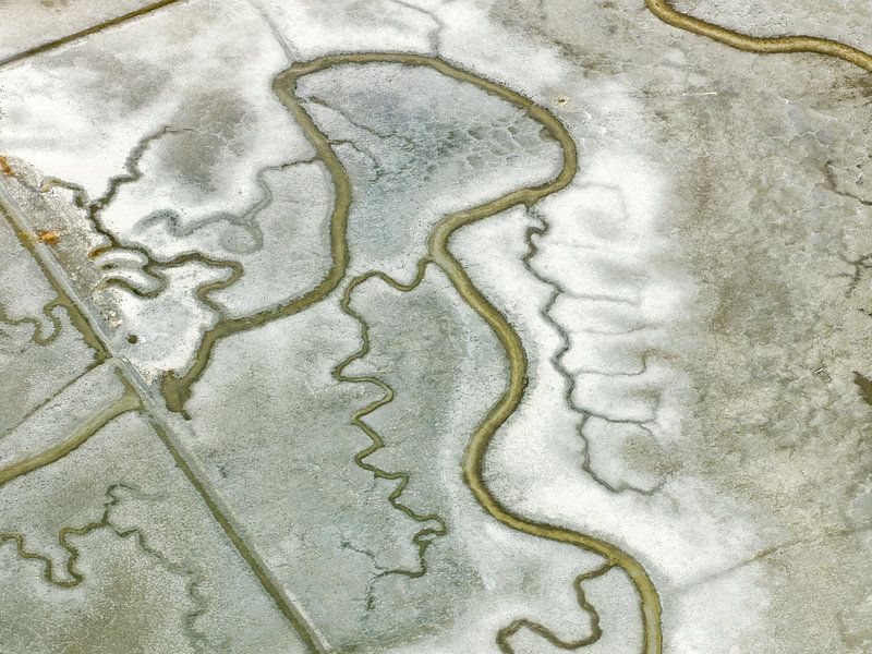 Sumpf in der Bucht von San Francisco von Marco van Middelkoop