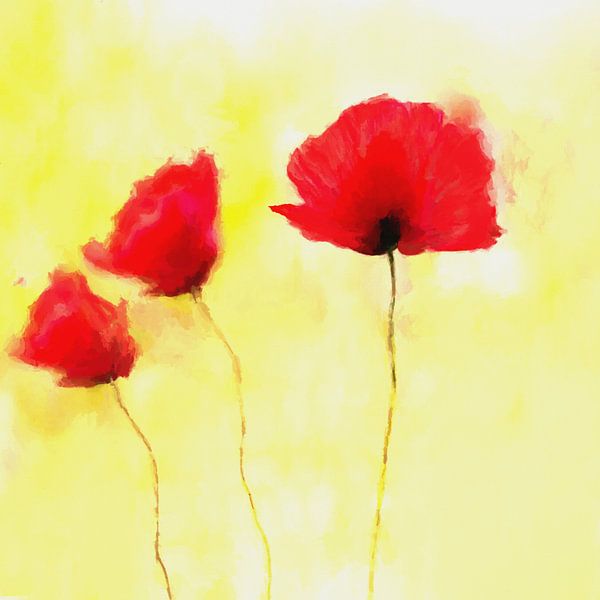 Red Poppies by Angel Estevez