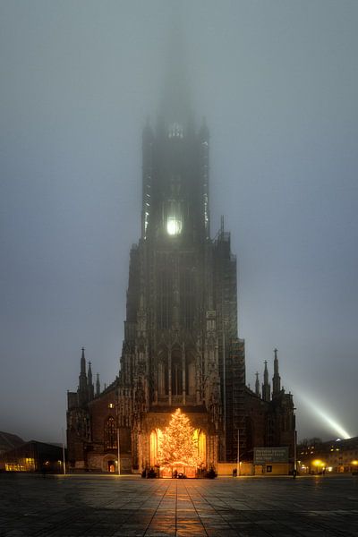Ulmer Münster im Winter 2020 ohne Weihnachtsmarkt vor der Kirche von Daniel Pahmeier