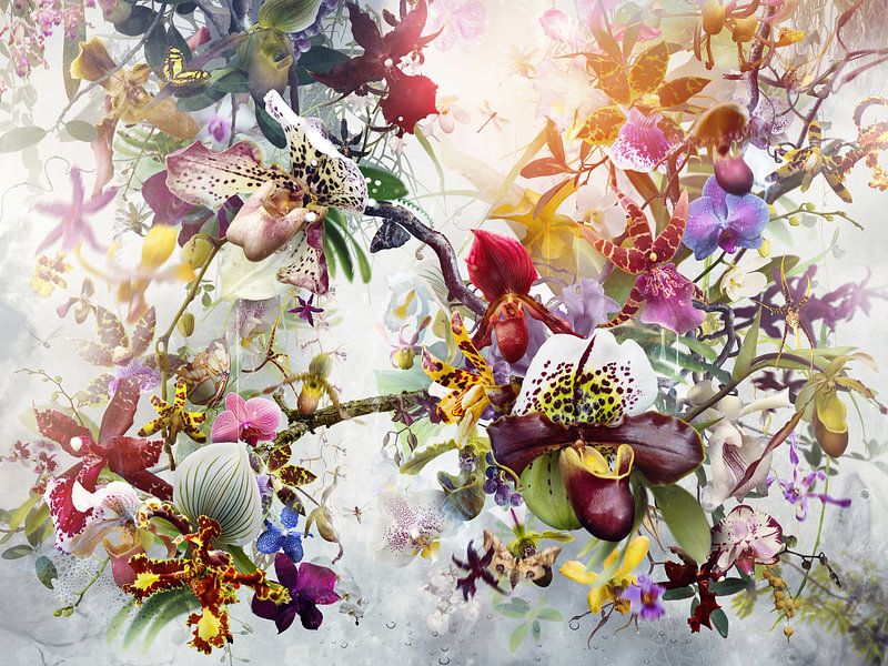 Verführung von Jesper Krijgsman