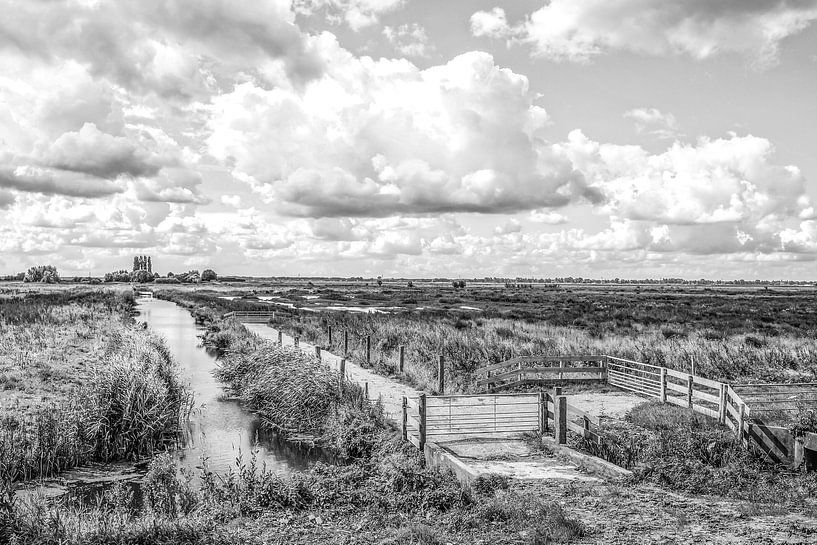 Polder in Hoeksche Waard van Wessel Krul