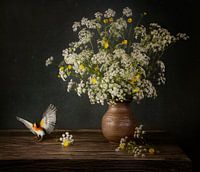 Rotkehlchen und Flötenkraut