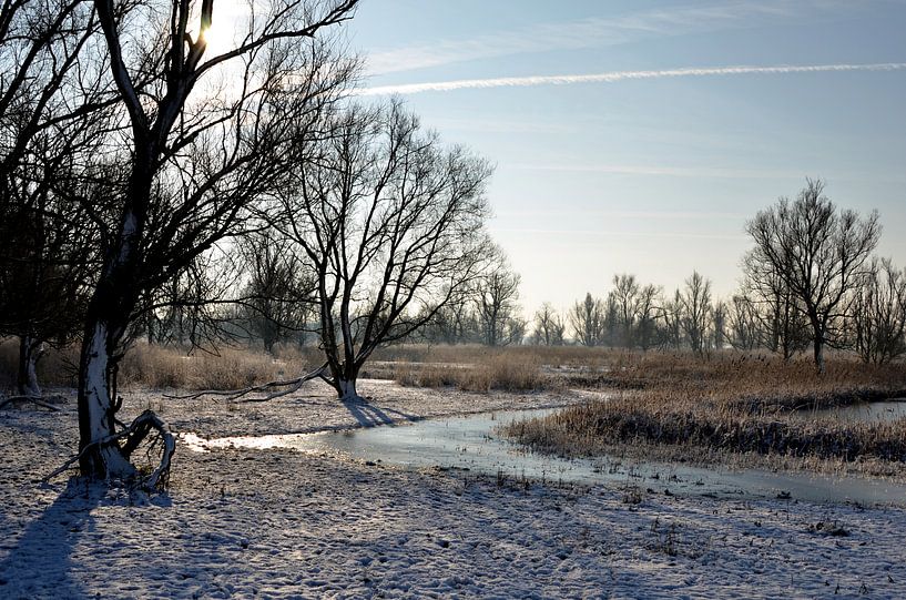 Oosvaardersplassen in de winter. von Frank de Ridder