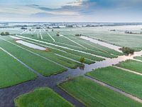 Morgens auf dem Polder.