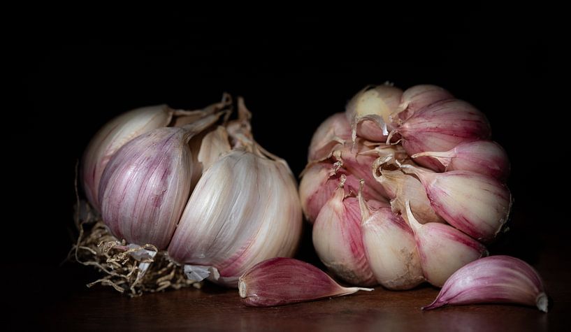 Purple garlic against a dark background by Ulrike Leone