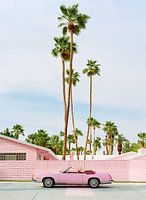Pink Palm Springs