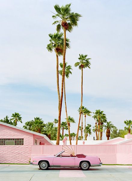 Pink Palm Springs by Bethany Young Photography
