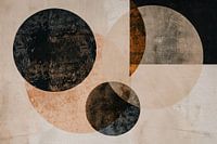 Overlappende Sepia Cirkels en Lijnen Kunstwerk