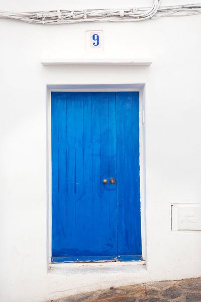 Les portes caractéristiques d'Ibiza par Jalisa Oudenaarde