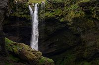 Whippet bij waterval in IJsland