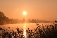 Mill de Zwaluw - Hasselt