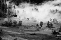 Tirol schwarz-weiß Foto