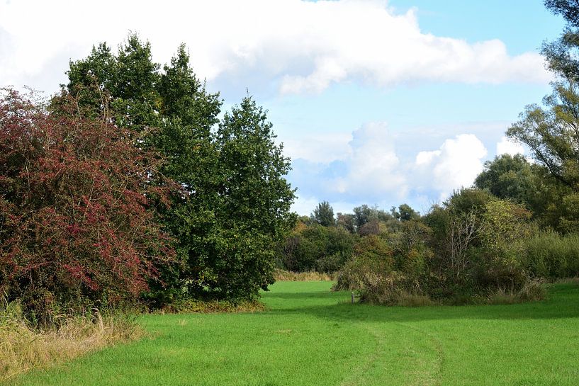 Nature automnale des polders par Gerard de Zwaan