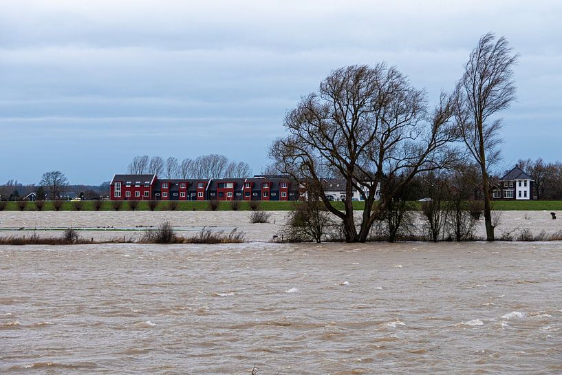 Hochwasser von Jim van Iterson