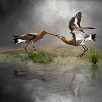 Baltsende Grutto’s