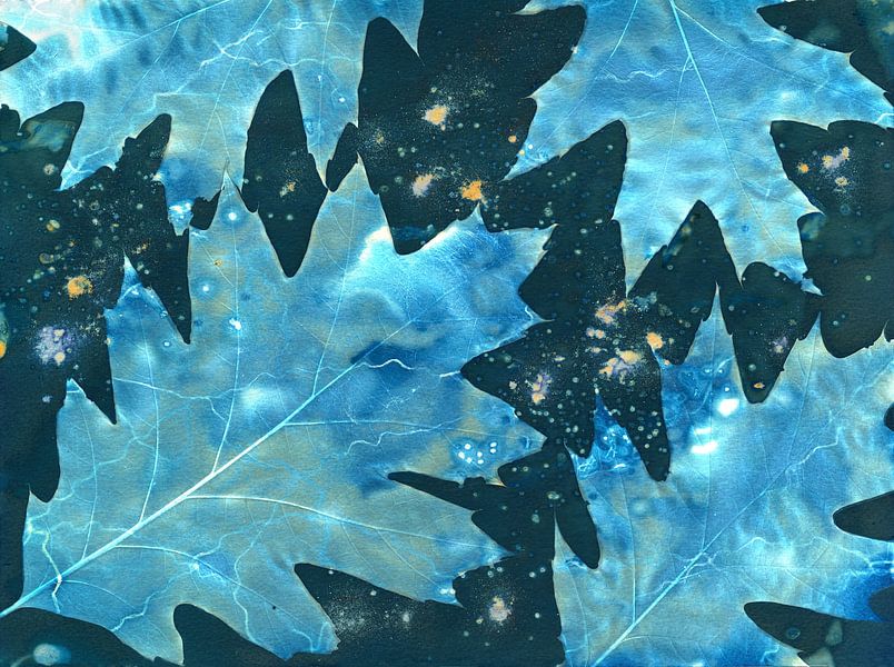 Cyanotype humide abstrait de feuilles de chêne américain par Retrotimes